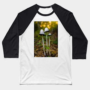 Coprinus comatus mushroom Baseball T-Shirt